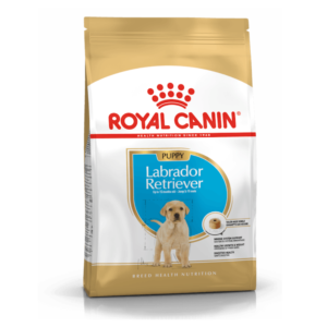 Royal Canin labrador Retriver Puppy