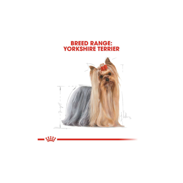 Royal Canin Yorkshire Adult 1,5kg - Image 3