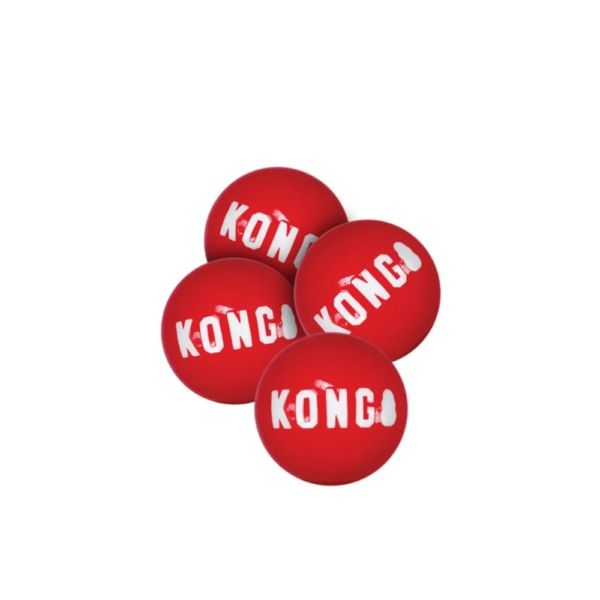 KONG ball