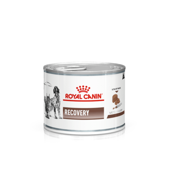 ROYAL CANIN RECOVERY